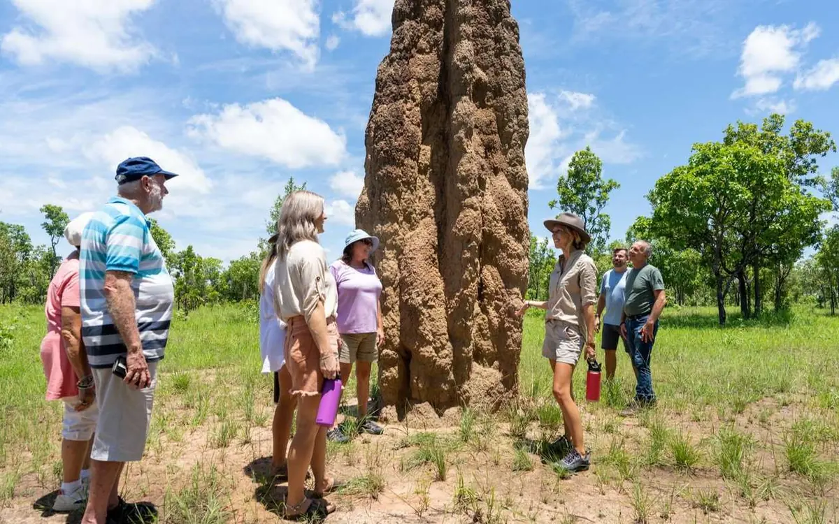 A guide and a small group standing beside a tall termite mound on open grassland, with low trees and scattered cloud behind them